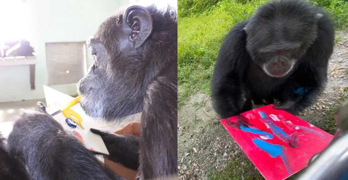    Скриншот: RadarOnline