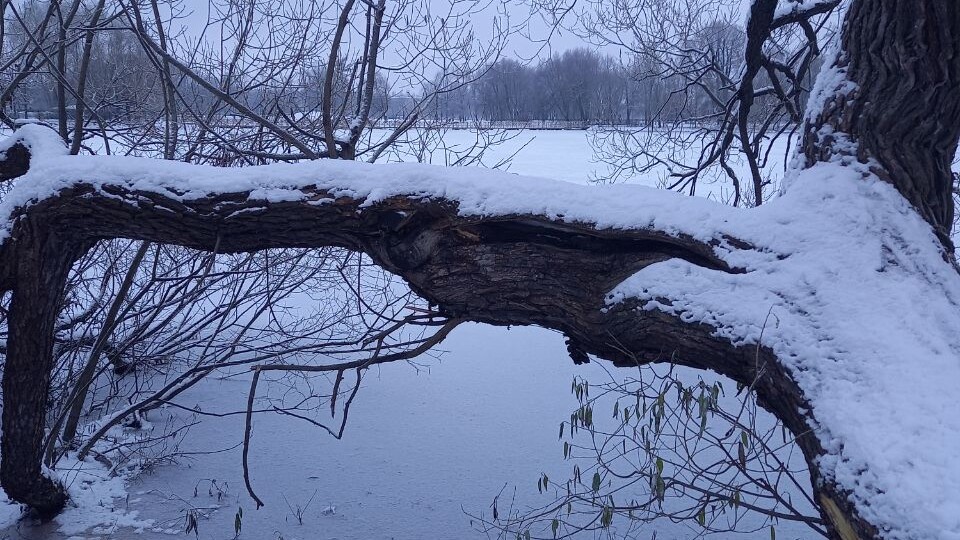 Когда мне будет казаться, что у меня проблемы, я буду вспоминать эту историю