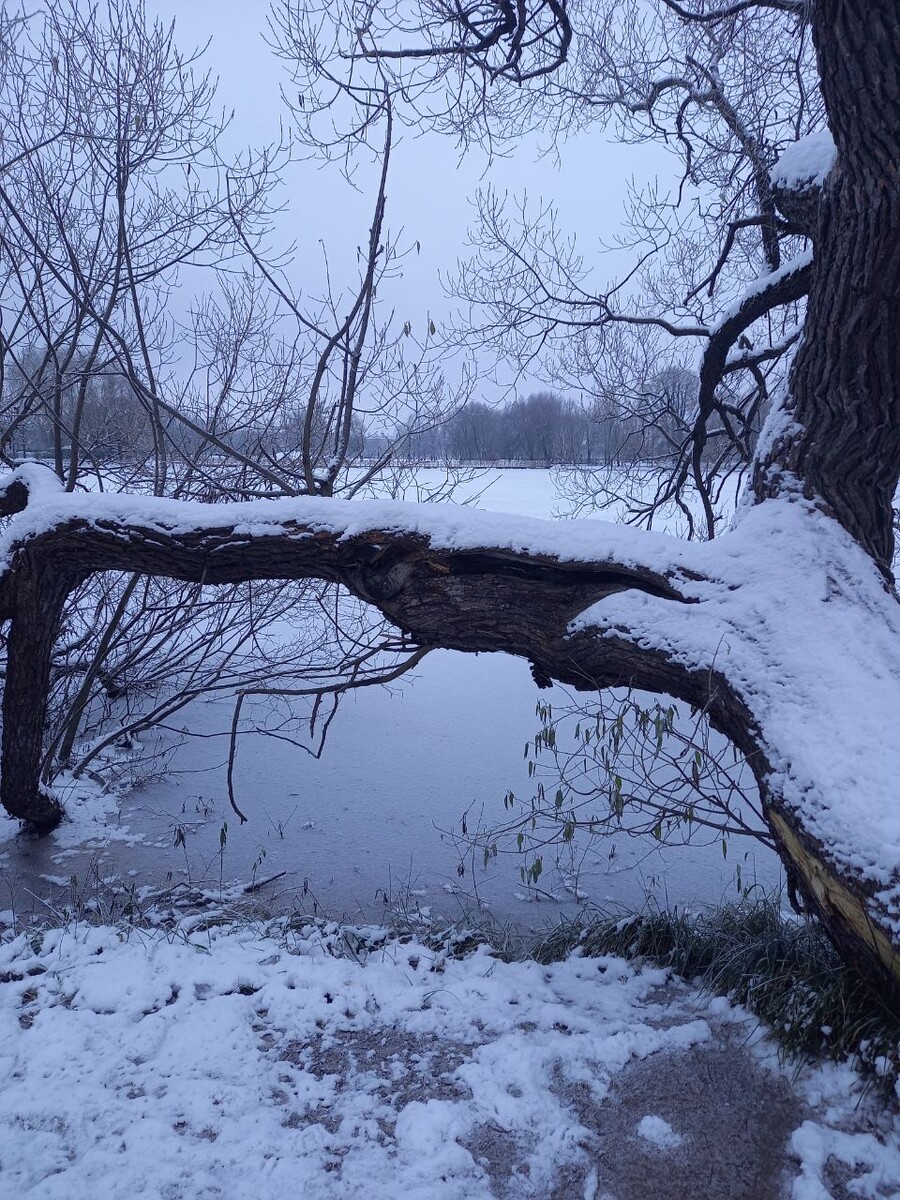 просто зима