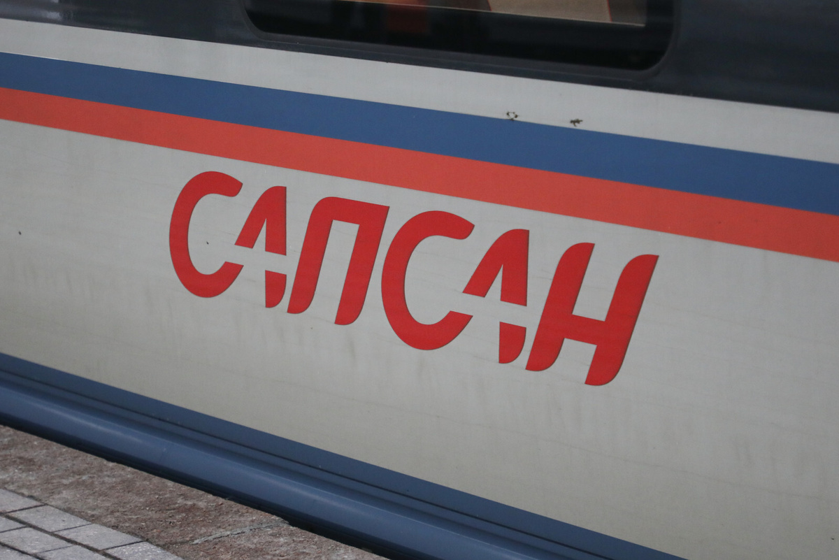 Фото: Александр Глуз / «Петербургский дневник»