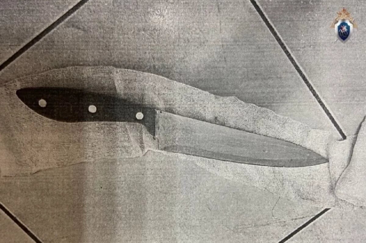    Нижегородка пыталась убить родную мать ножом