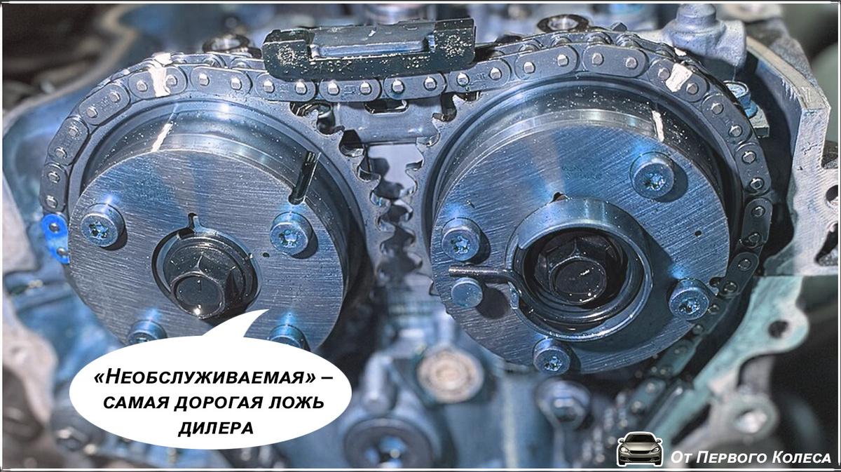 Фото Wikimedia Commons By Logansenf - Own work, CC BY-SA 4.0