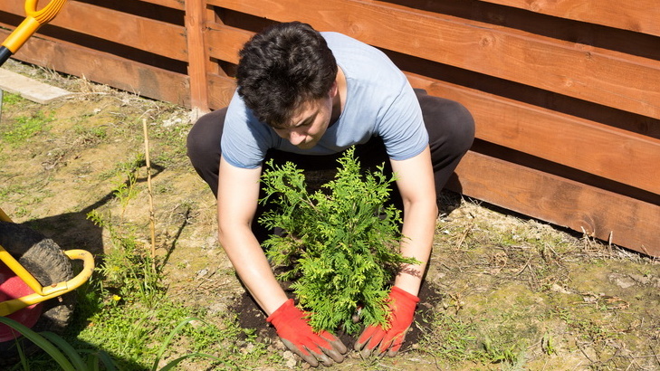 Классический пример дорогой ошибки планирования