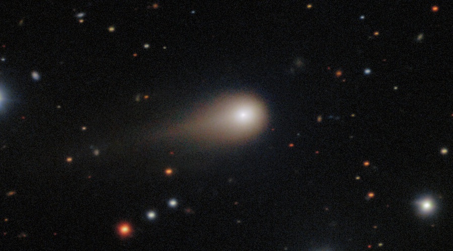    Фото: Википедия