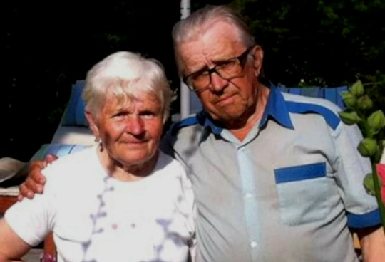 Кот спас семью пенсионеров, которые приютили его на даче