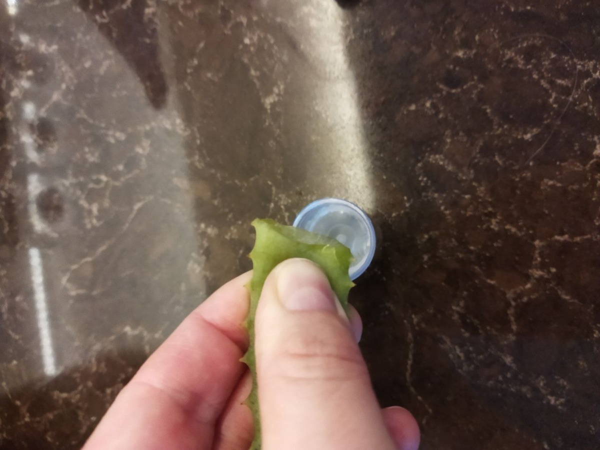 Алоэ у меня много, поэтому не экономлю, не стараюсь отжать всё полностью с помощью марли. А просто беру, надавливаю, листья сочные - сок из них капает достаточно легко и активно