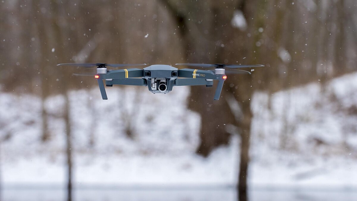    Фото: freepik.com/benwhitephotography