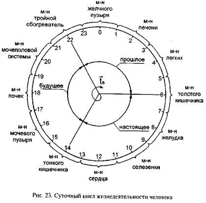 Вот почему стоит придерживаться водного режима в соответсвие с циркадными ритмами. 