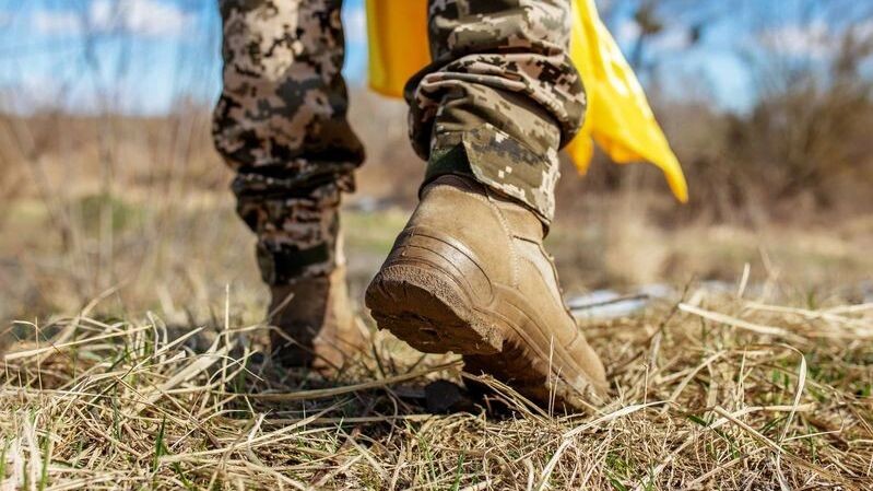    Фото: OlhaTsiplyar/Shutterstock/Fotodom