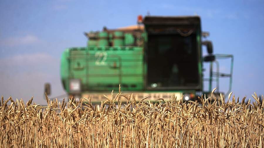    Фото: ИЗВЕСТИЯ/Эдуард Корниенко