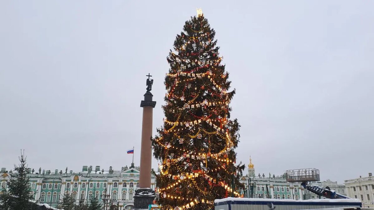    Елка на Дворцовой площади на Новый год-2025. Фото: Мойка78