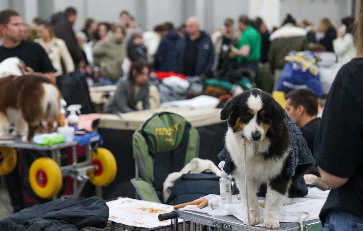 Валерия Калугина/ТАСС