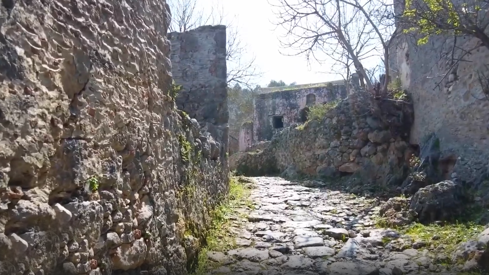 ФОТО: Кадр из программы "Невероятно интересные истории", РЕН ТВ