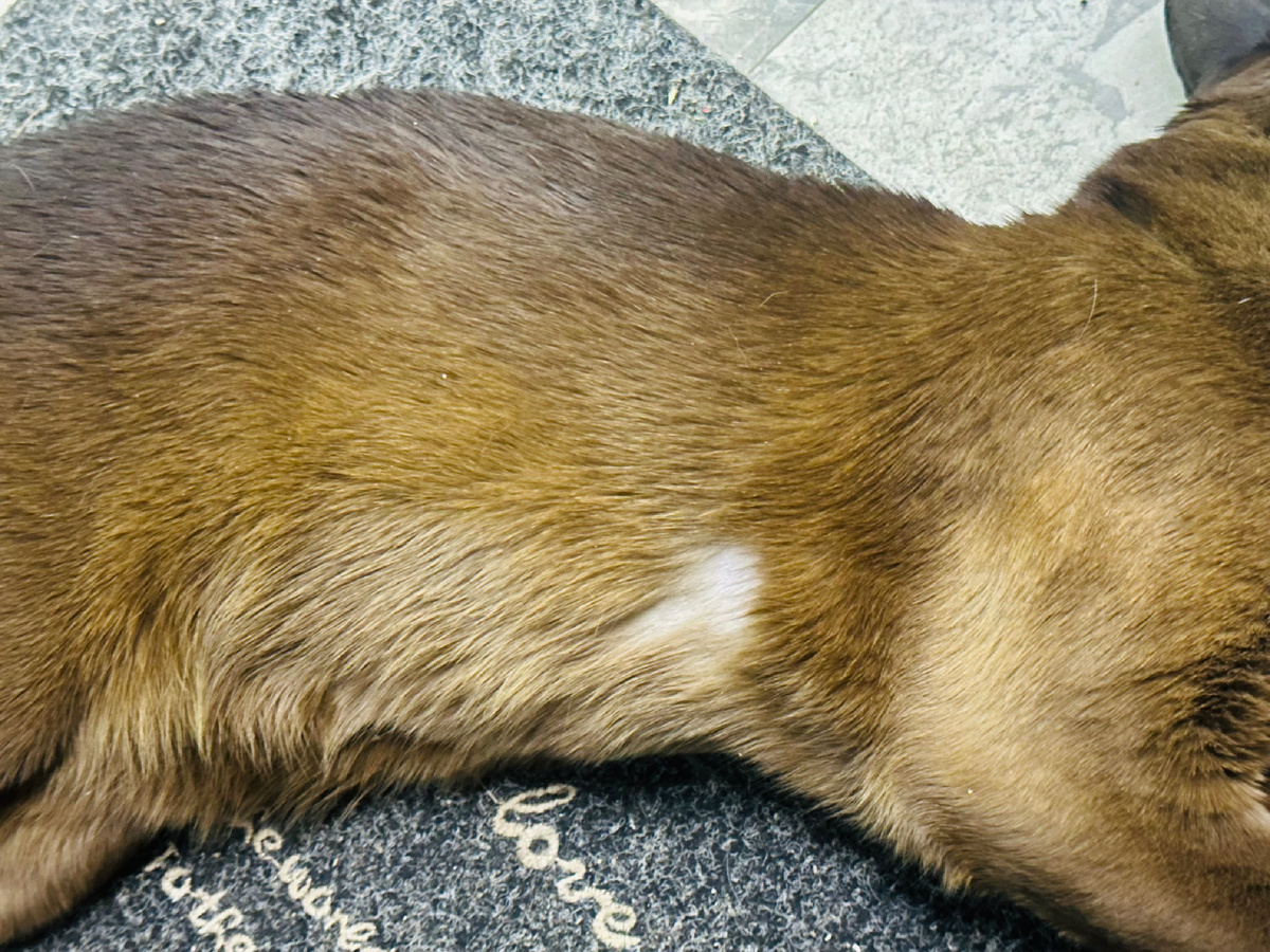 Вторая сторона