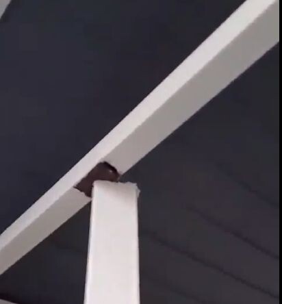 Фото: группа ВК "ТИПИЧНЫЙ КУРГАН"