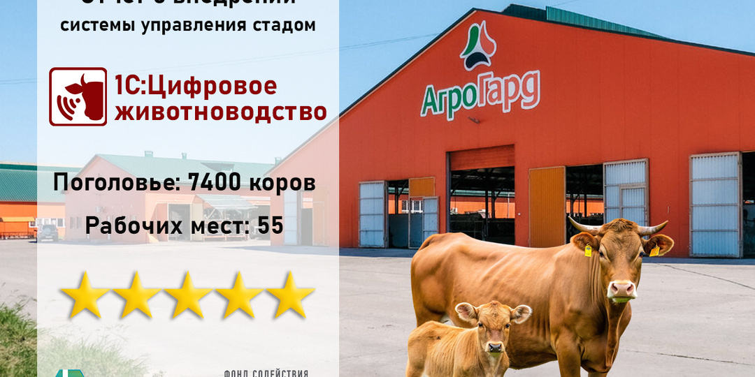 Отчёт о внедрении «1С:Цифровое Животноводство» для АО "АгроГард"