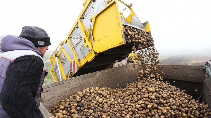    Фото: ИЗВЕСТИЯ/Эдуард Корниенко; 5-tv.ru