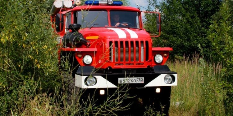    Илья Тушев / Вести Подмосковья