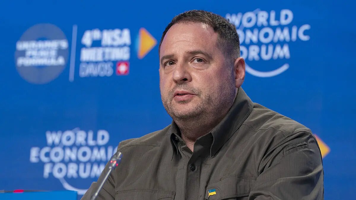    Фото: vm.ru Полина Белоусова