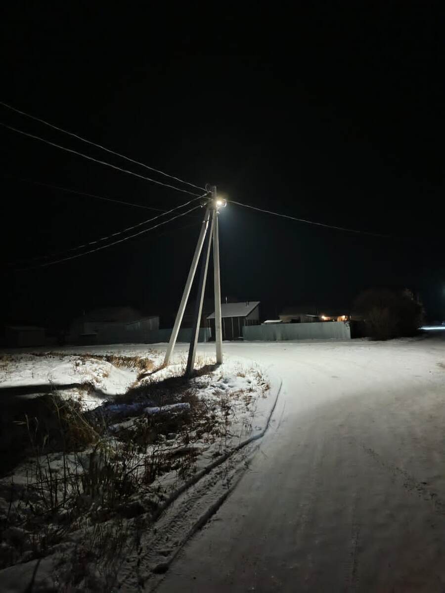 Поселок Николаевка. ЕАО. Светильники Еж60вт