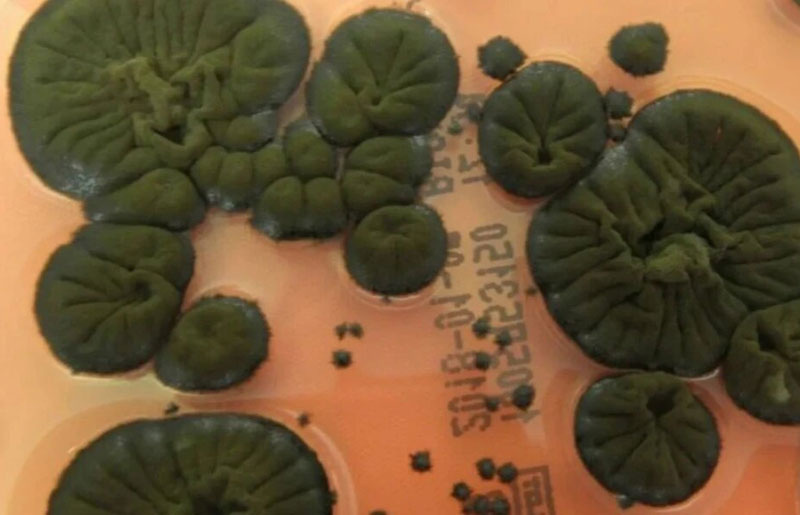     Фото: Соцсети