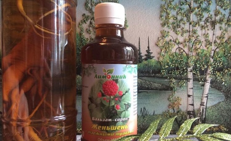    Фото: Корпорации развития Дальнего Востока и Арктики