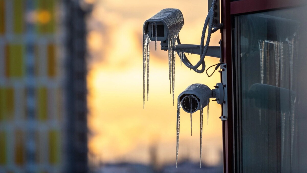    Фото: Федор Воронов/«Ямал-Медиа»