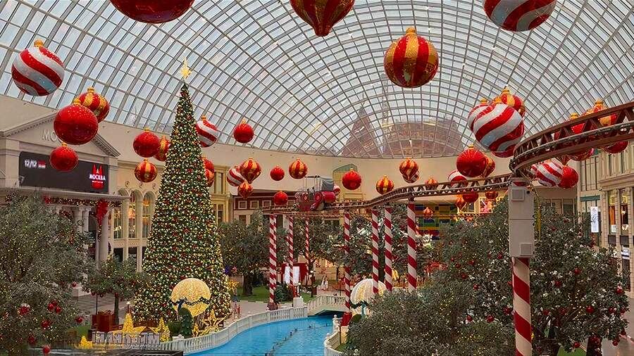    Фото: Остров Мечты