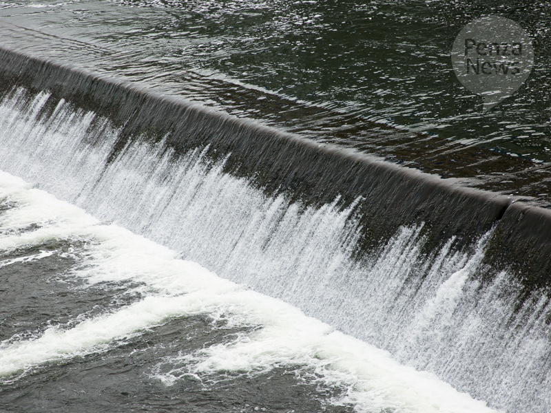    © Фото из архива ИА «PenzaNews»