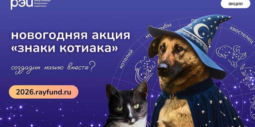 Новогодняя акция «Знаки котиака»