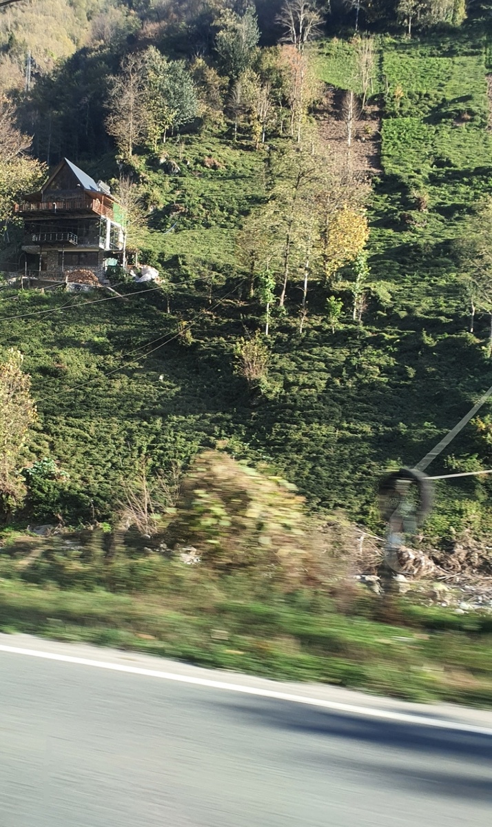 Фото в дороге