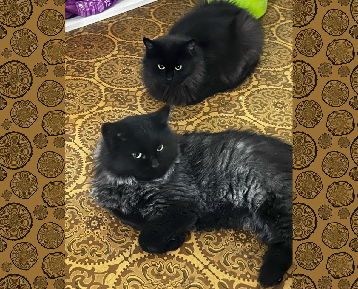 Малыш и Луна