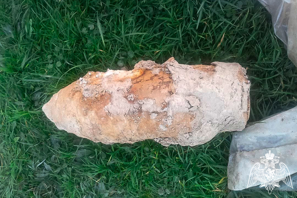    Фото: ГУ Росгвардии по краю