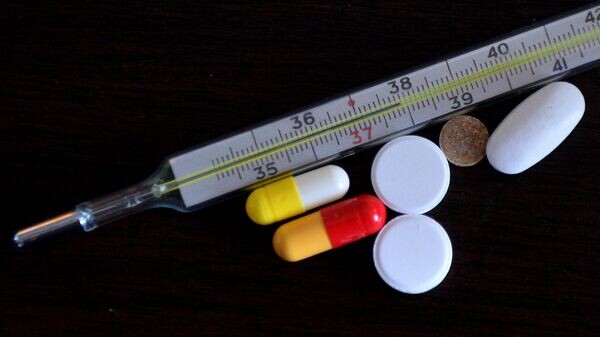    © РИА Новости . Максим Богодвид