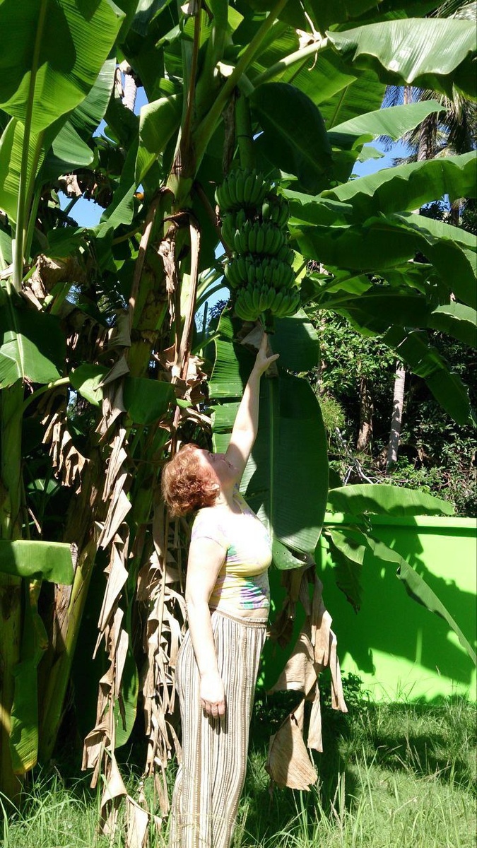 Бананы - Блогер в 60+ | Евгения Бровкина