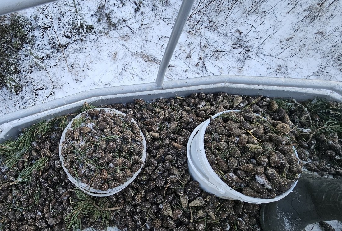    Фото: Минприроды Карелии