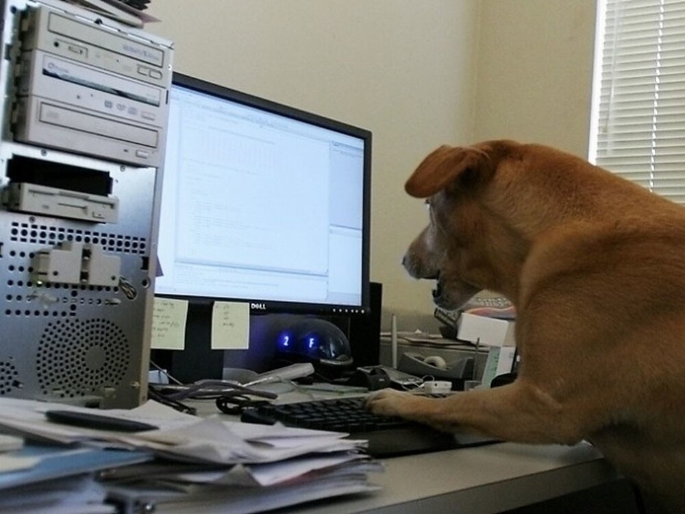 Взято с сайта fishki.нет