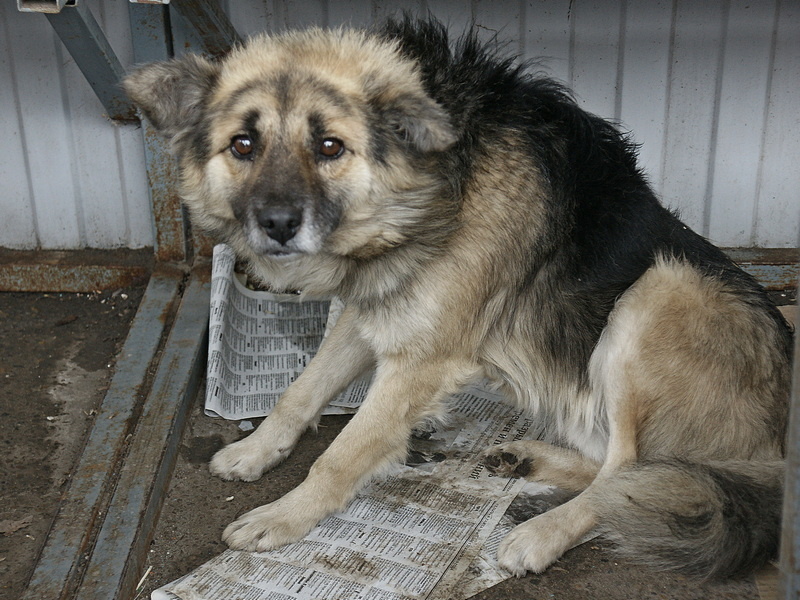 Фото А. Толстых