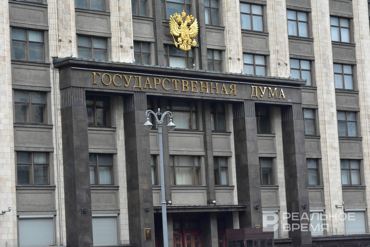   Дарья Пинегина / realnoevremya.ru