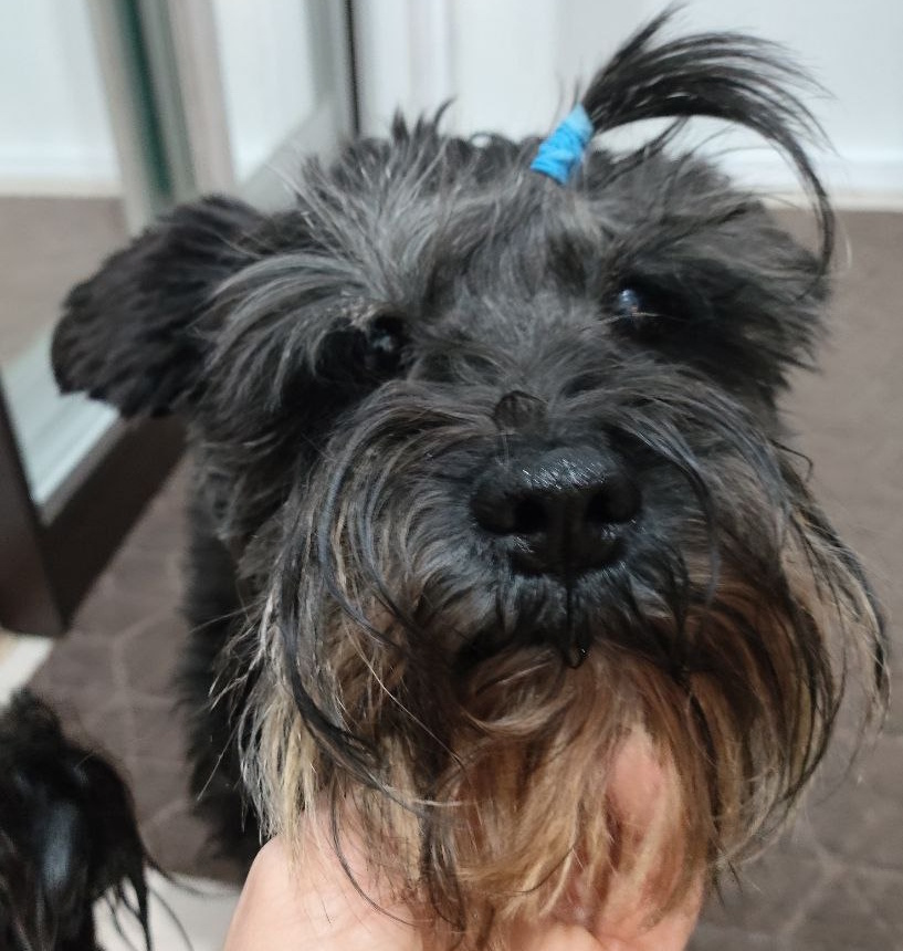 Роня выписалась и не особо довольна