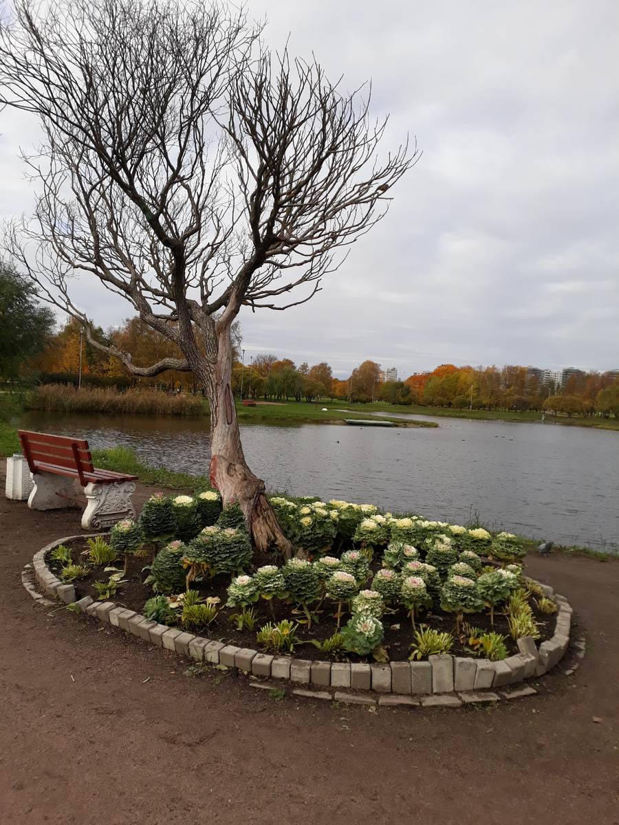 Фото автора.