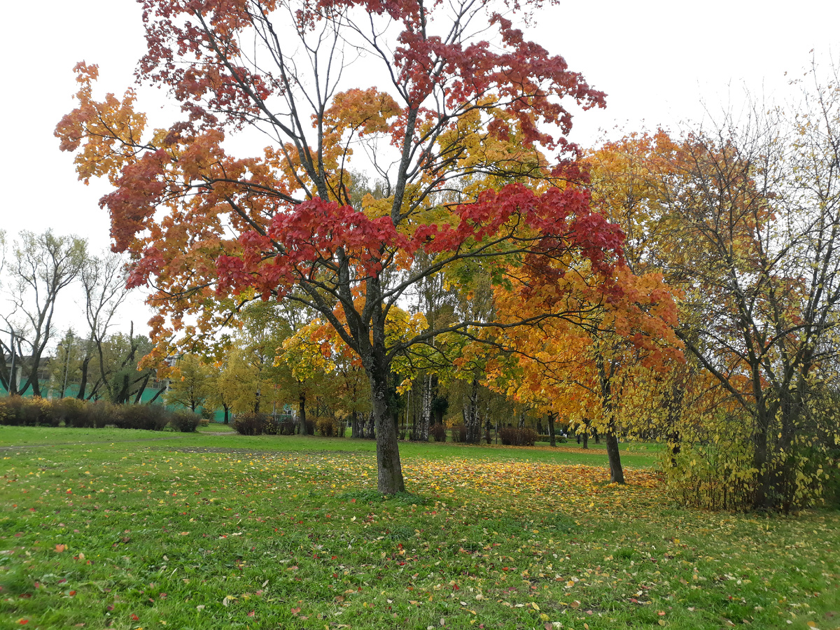Фото автора.
