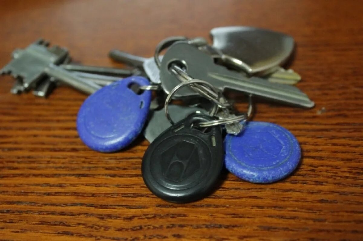    Замена ключа от домофона обошлась жительнице Коми в 5,9 млн рублей