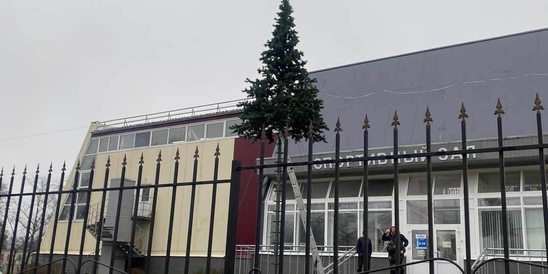 У СОК Чемпион уже устанавливают новогоднюю ёлку