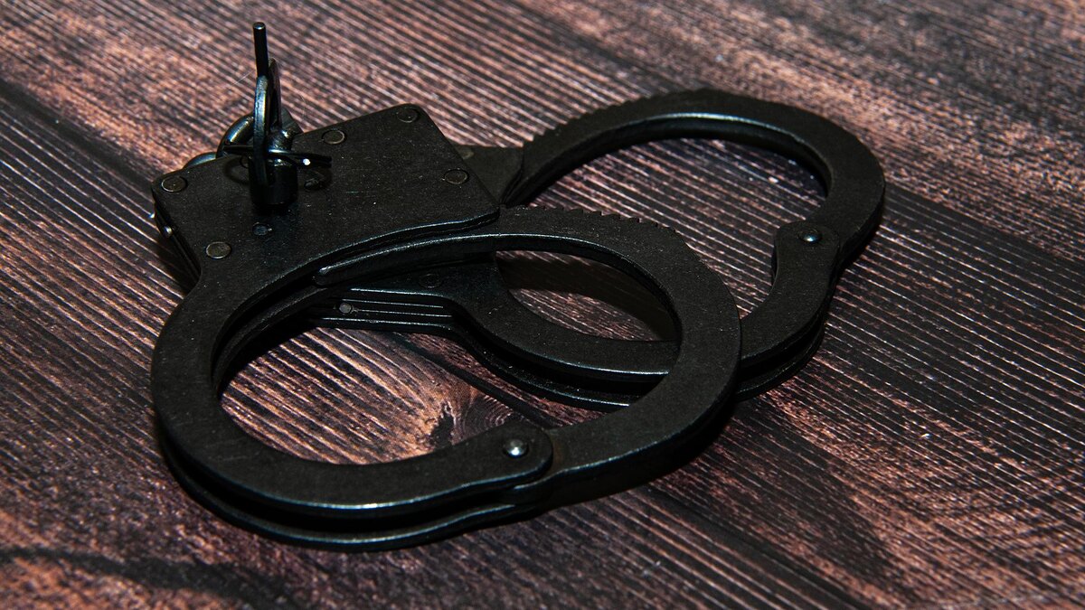    Фото: Svetlana Vozmilova/globallookpress.com