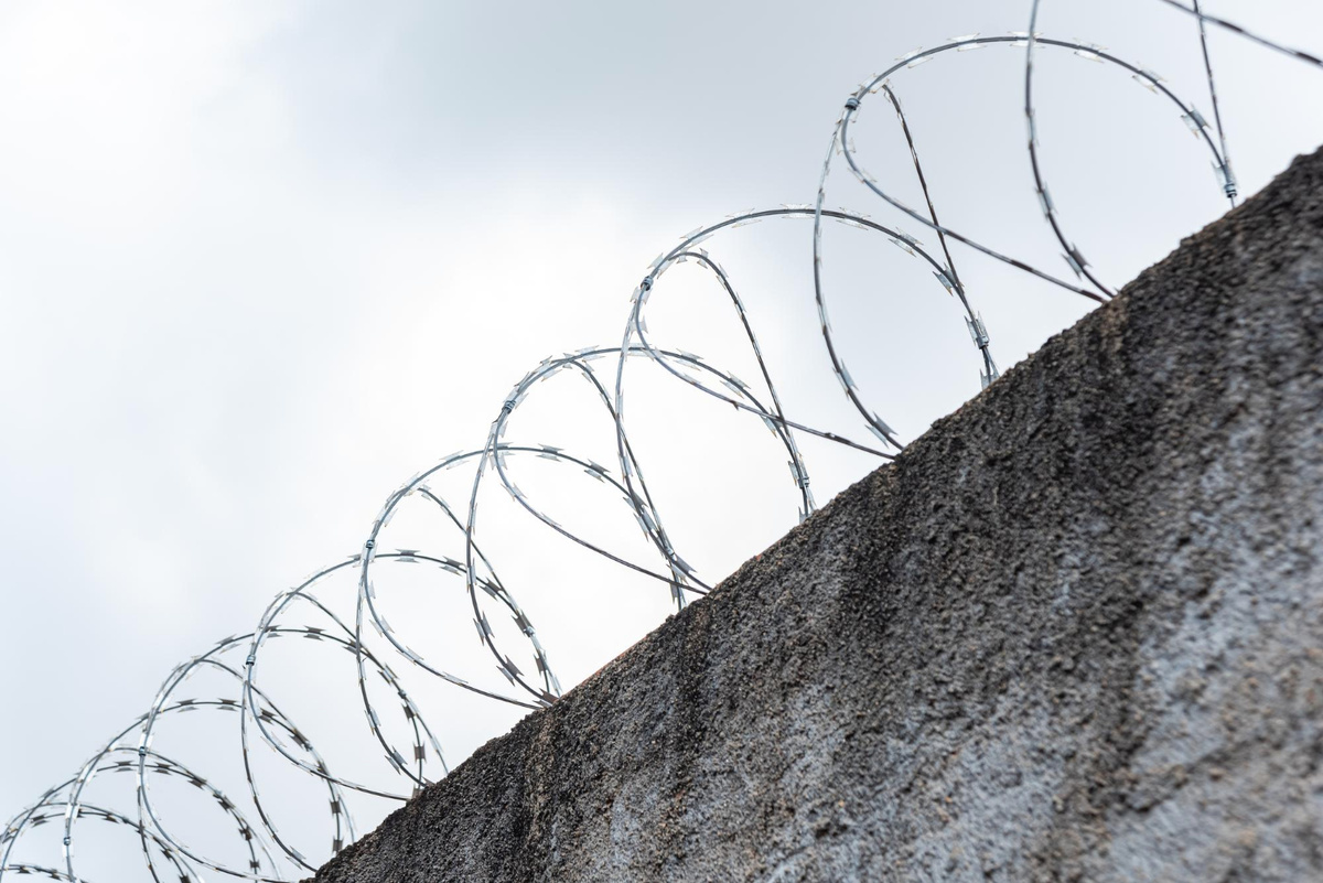 Фото: freepik.com  📷
