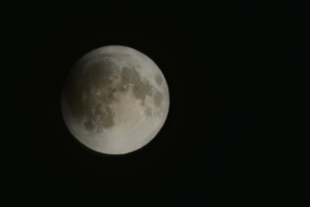    Фото: Виолетта Биенко