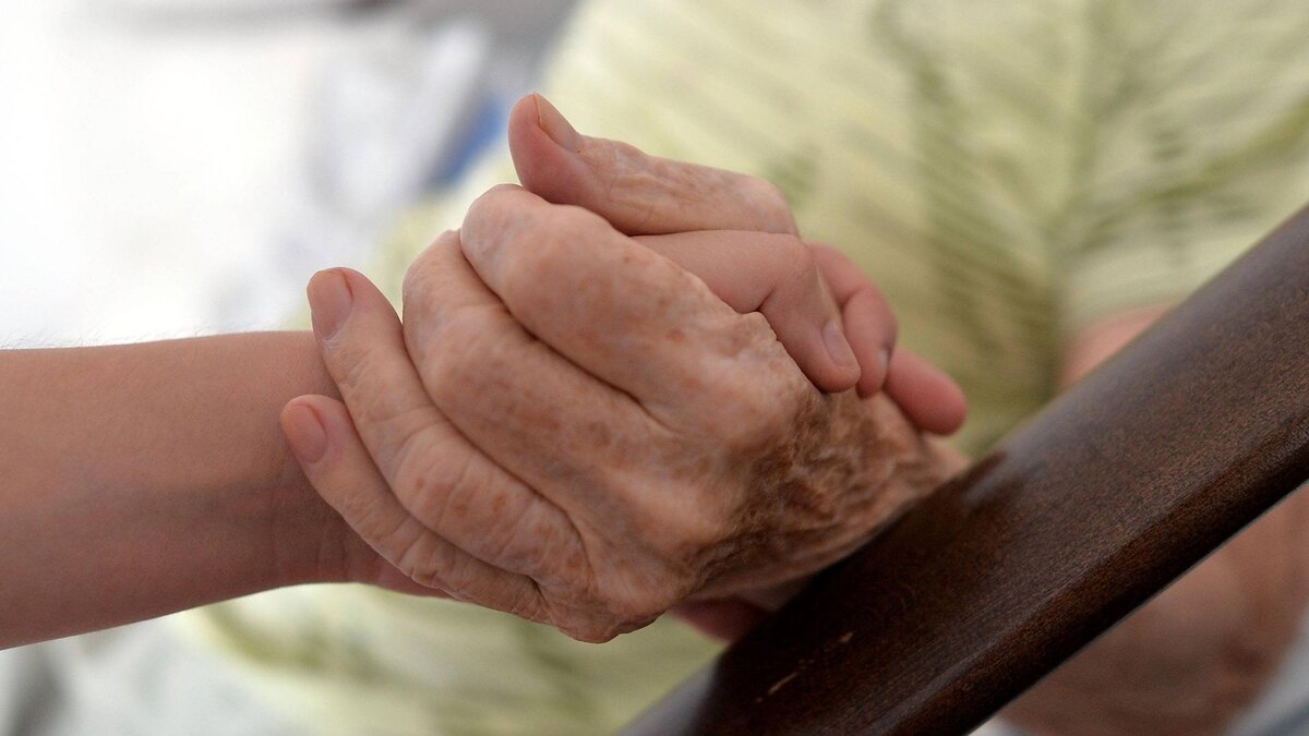    Фото: imago stock&people/globallookpress.com