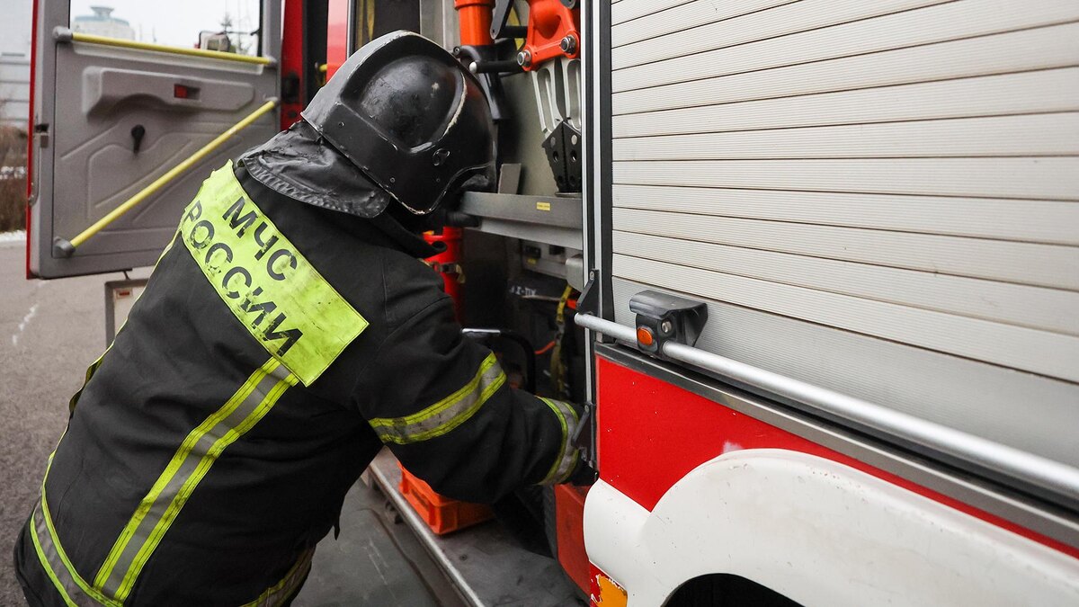    Фото: Belkin Alexey/globallookpress.com