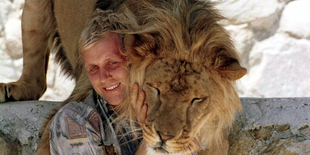 Почему миллионы защищают Зубков и "Тайган", даже зная факты?